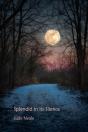 Splendid In Its Silence - Preview