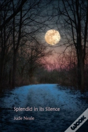 Capa do artigo Splendid In Its Silence