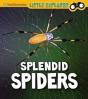 Splendid Spiders - Preview