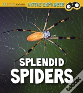 Splendid Spiders