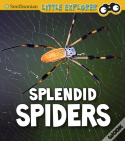 Capa do artigo Splendid Spiders