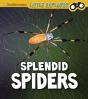 Splendid Spiders - Preview
