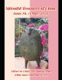 Splendid Treasures Of China - Preview