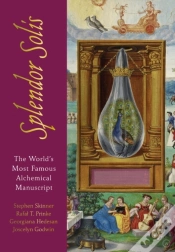 Capa do artigo Splendor Solis