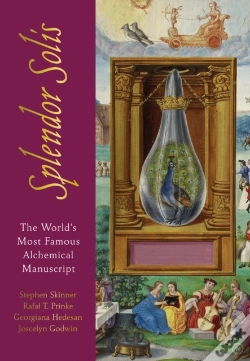 Capa do artigo Splendor Solis