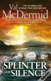 Capa do artigo Splinter The Silence
