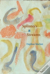Capa do artigo Splinters & Streams