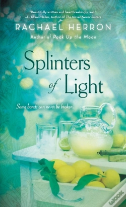 Capa do artigo Splinters Of Light