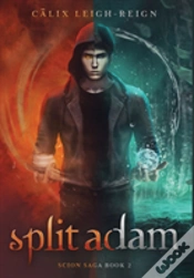 Capa do artigo Split Adam
