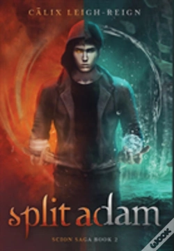 Capa do artigo Split Adam