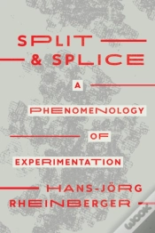 Capa do artigo Split And Splice