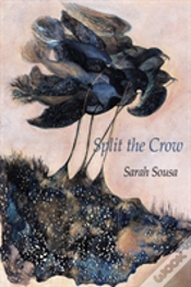Capa do artigo Split The Crow