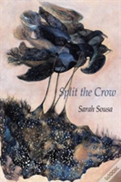 Capa do artigo Split The Crow