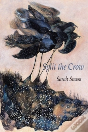 Capa do artigo Split The Crow