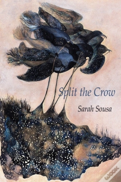Capa do artigo Split The Crow