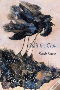 Capa do artigo Split The Crow