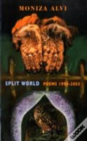 Capa do artigo Split World