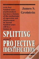 Splitting And Projective Identification