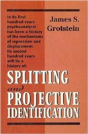 Splitting And Projective Identification - Preview