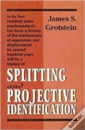 Capa do artigo Splitting And Projective Identification