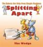 Splitting Apart - Preview