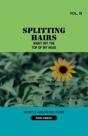 Splitting Hairs Vol 2 - Preview