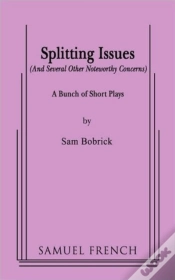 Capa do artigo Splitting Issues