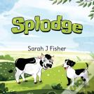 Splodge
