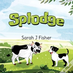 Capa do artigo Splodge