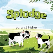 Capa do artigo Splodge