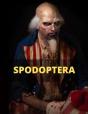 Spodoptera - Preview