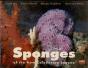 Sponges Of The New Caledonian Lagoon - Preview