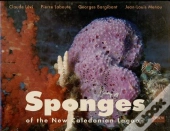 Sponges Of The New Caledonian Lagoon