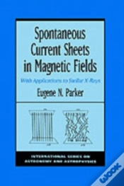 Capa do artigo Spontaneous Current Sheets In Magnetic Fields