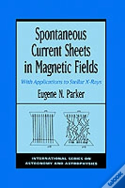 Capa do artigo Spontaneous Current Sheets In Magnetic Fields