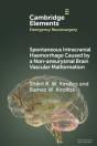 Spontaneous Intracranial Haemorrhage Caused By A Non-Aneurysmal Brain Vascular Malformation - Preview