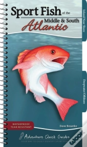 Sport Fish Of The Middle & South Atlantic