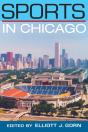 Sports In Chicago - Preview