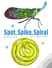 Capa do artigo Spot, Spike, Spiral