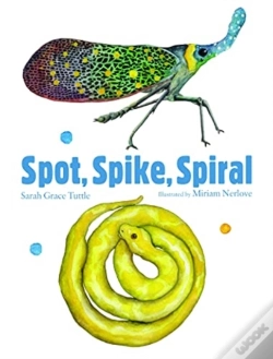 Capa do artigo Spot, Spike, Spiral