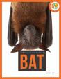 Spotlight On Nature: Bat - Preview
