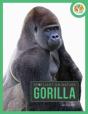 Spotlight On Nature: Gorilla - Preview
