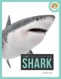 Spotlight On Nature: Shark - Preview
