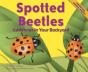 Spotted Beetles - Preview