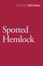 Spotted Hemlock - Preview