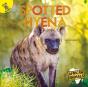 Spotted Hyena - Preview
