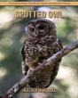 Spotted Owl - Preview