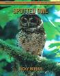 Spotted Owl - Preview