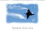 Spotter D Avions Calendrier Mural 2018 Din A3 Horizontal - Preview