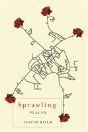 Sprawling Places - Preview